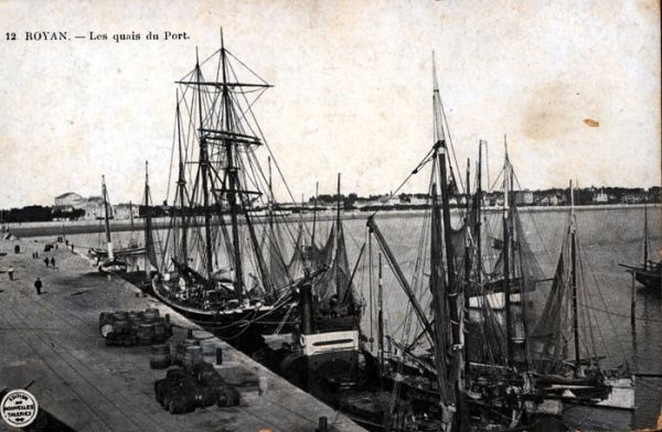 Les quais du port / Visuel : D.R.