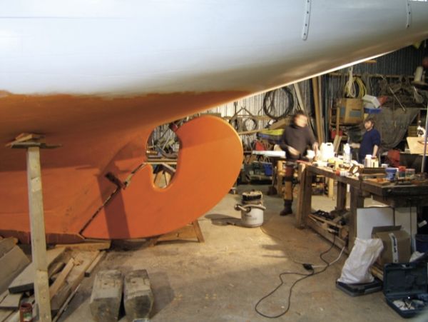 Novembre 2006 - Le safran en place / Visuel : D.R.