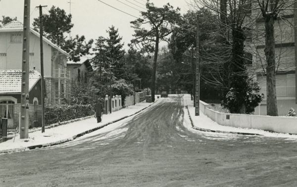 Royan, le Marché du Parc - Sam 11 Fév. 1978, 11 H 30 / Photo : Yves Delmas