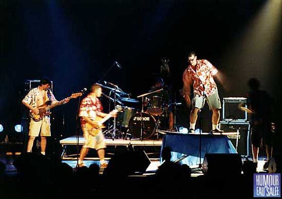 Taxyfolia / Visuel : D.R.