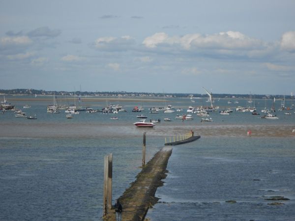 Une passerelle a été installée pour rejoindre le banc de sable. / Cl. mabr
