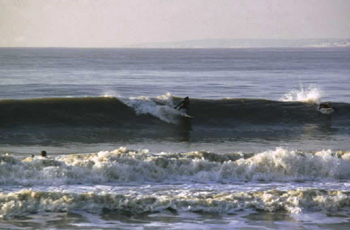 Surf036