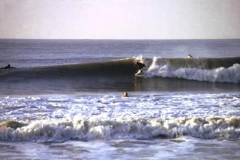 Surf039