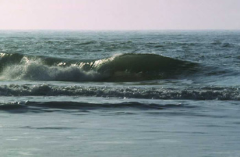 Surf065