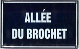 Brochet