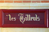 Les-Tilleuls-avenue-Louise-détail-4