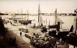Port de Royan en 1900, les gabarres déchargent le vin