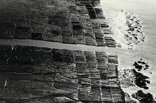 Les marais face à Brouage, dimanche 26 octobre 1975
